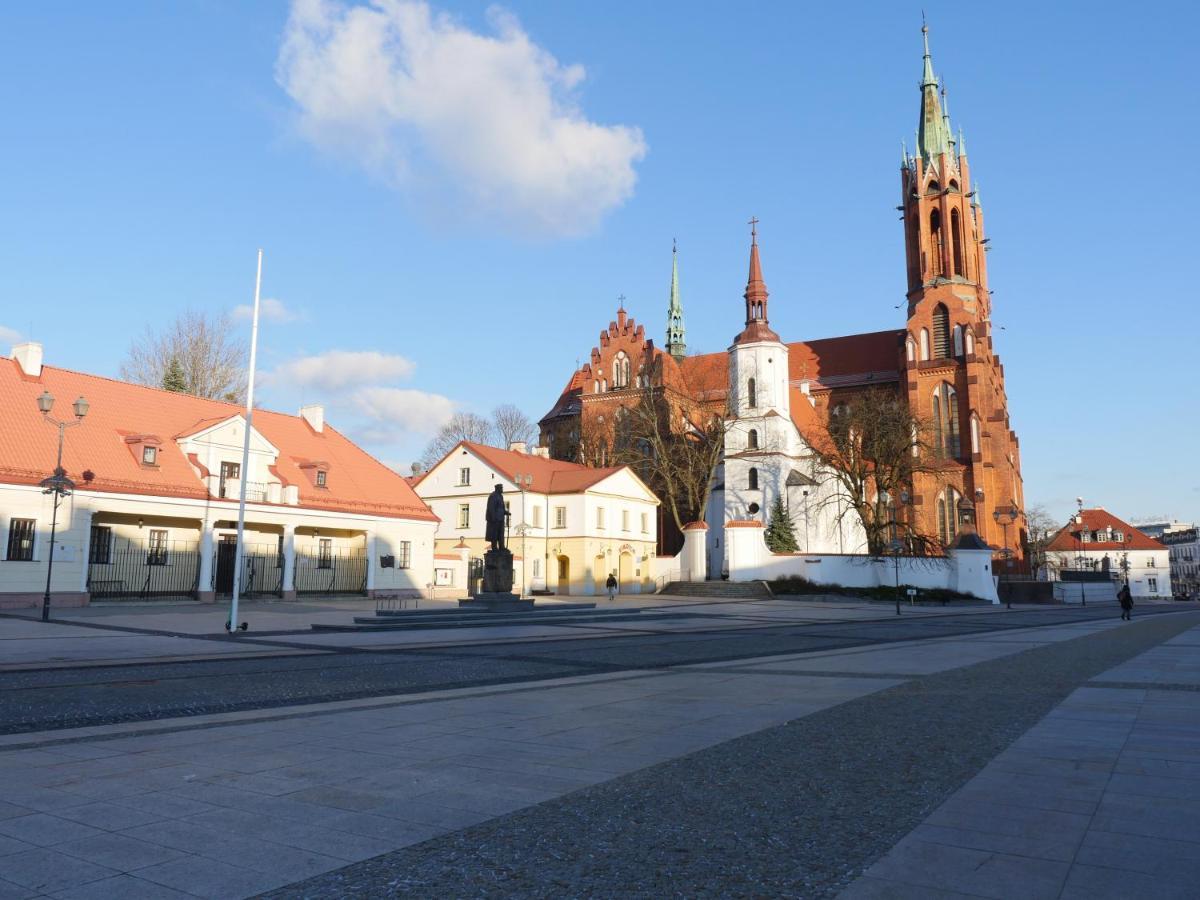 Art Vinyl Loft Apartment Bialystok Bagian luar foto